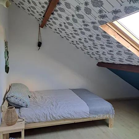 Dans Maison En Colocation منزل للإقامة
